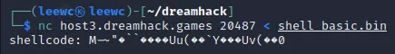 shell_basic9