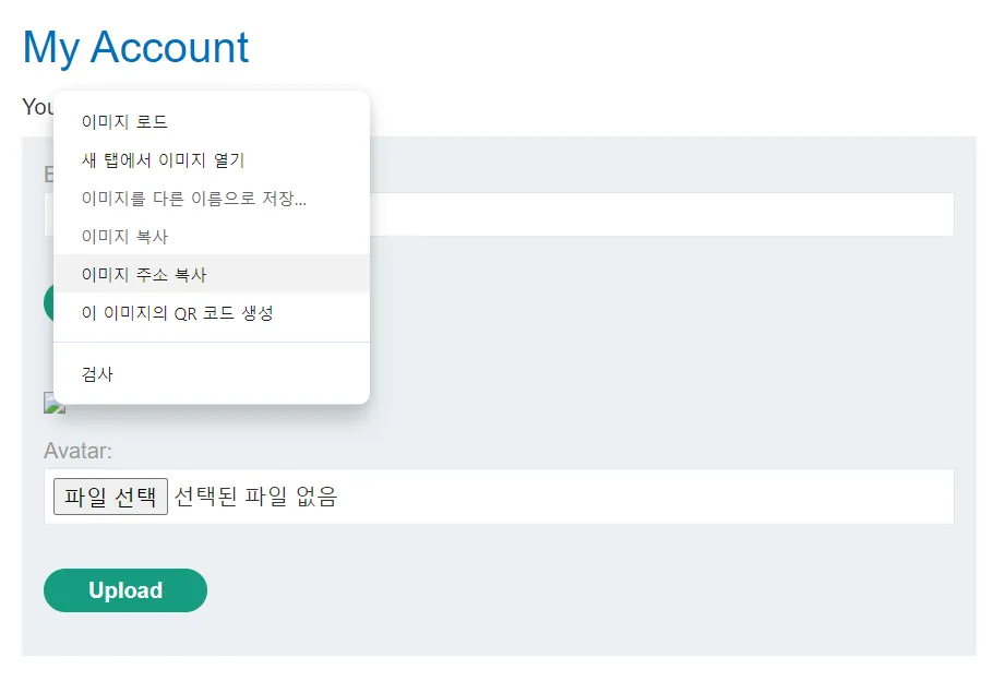 file_upload5