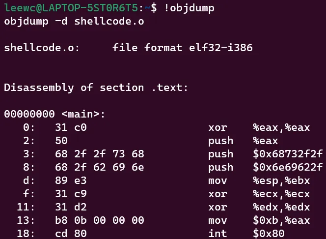 shellcode10