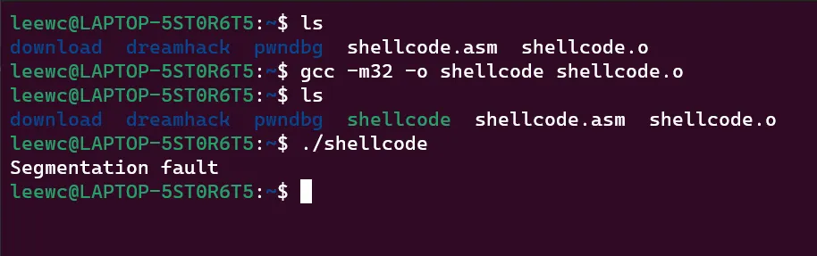 shellcode3