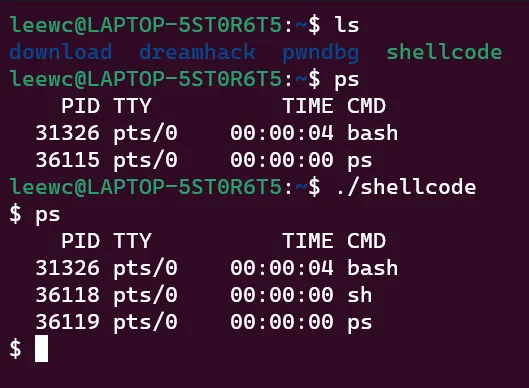 shellcode6